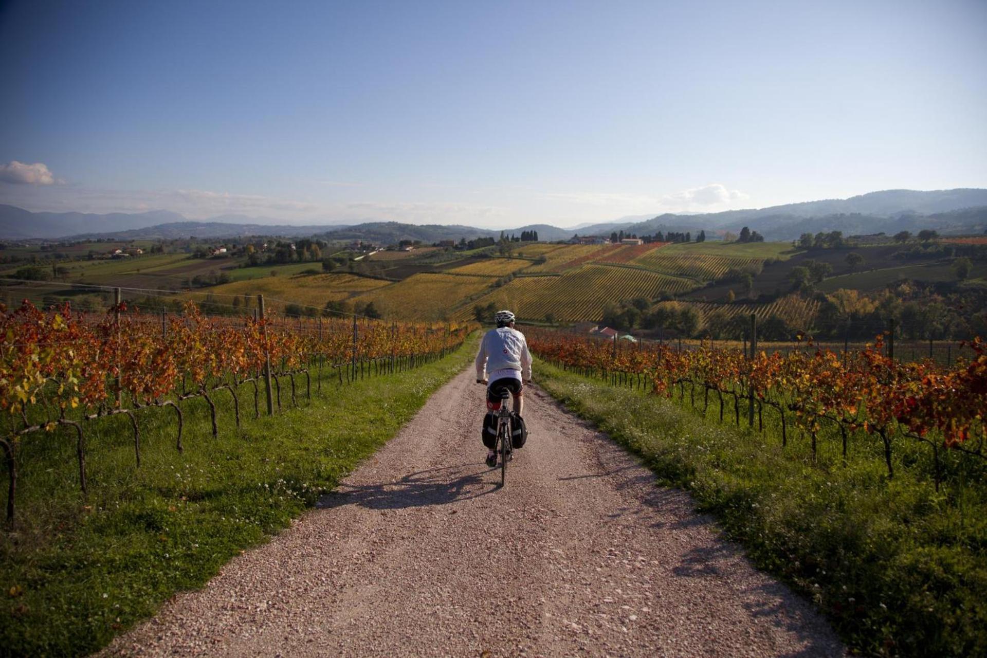 Agriturismo Bio Tra Cielo E Terra Apartment Grutti Bagian luar foto