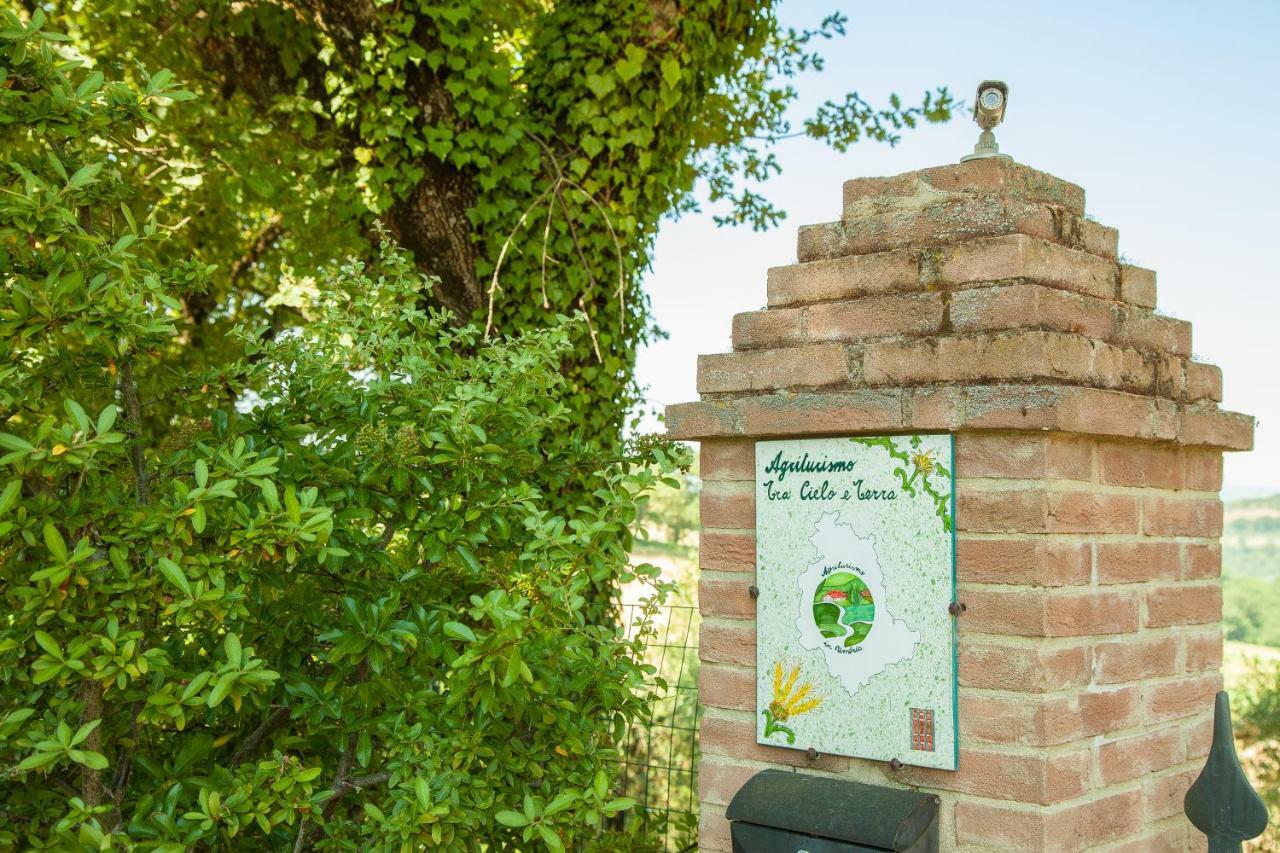 Agriturismo Bio Tra Cielo E Terra Apartment Grutti Bagian luar foto